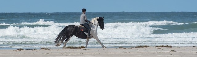 Een ontspannen vakantie op de Waddeneilanden