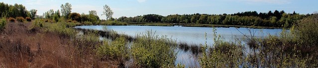 Tijdens de vakantie in Drenthe genieten van de natuur