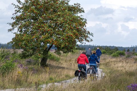 Lekker fietsen tijden een vakantie in Drenthe