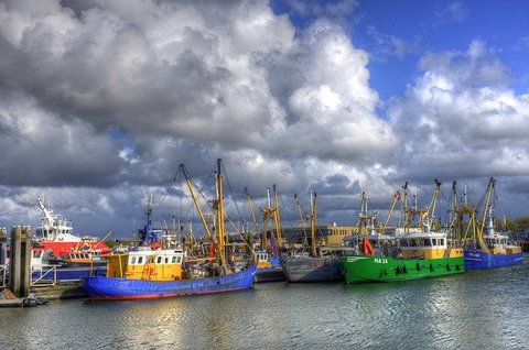 Tijdens je vakantie in Groningen is de haven van Lauwersoog zeker een bezoekje waard.